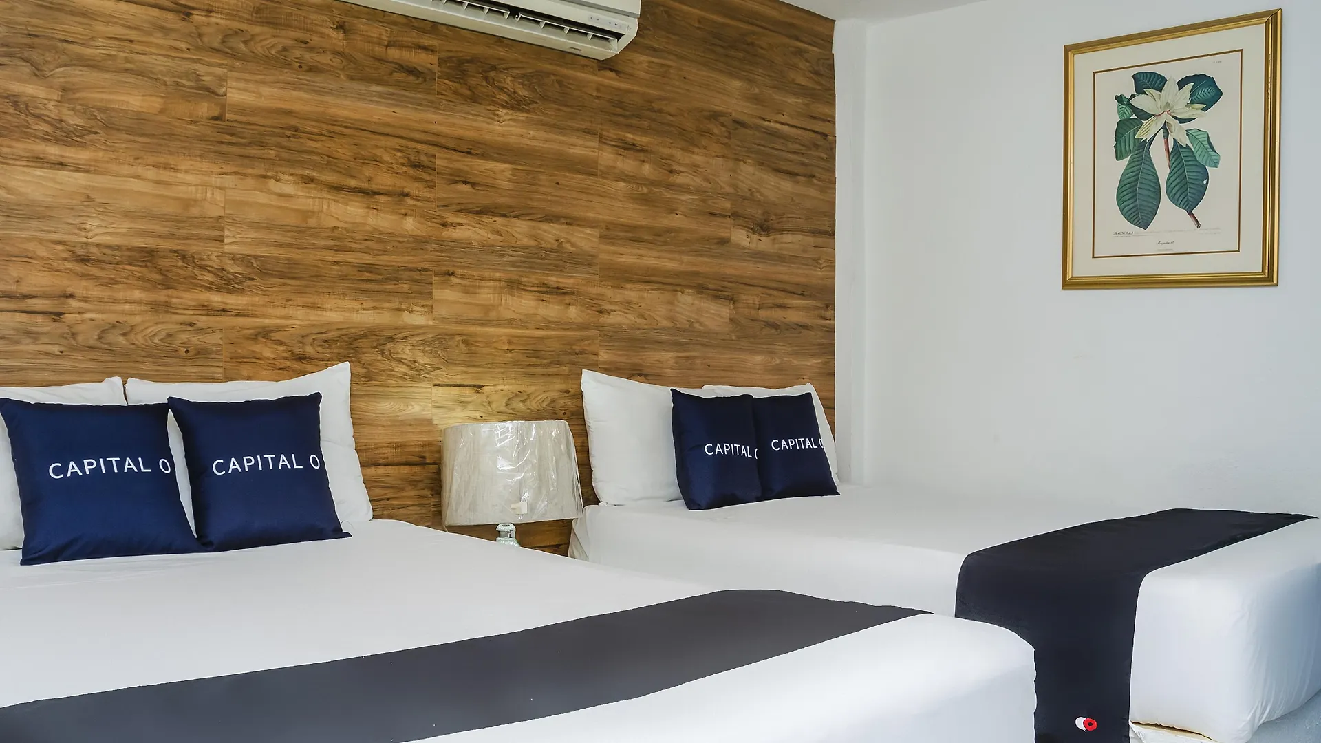 Capital O Hotel Dos Mares, Cabo San Lucas
