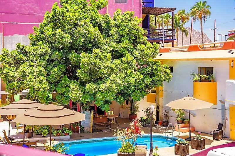 Capital O Hotel Dos Mares, Cabo San Lucas 4*,